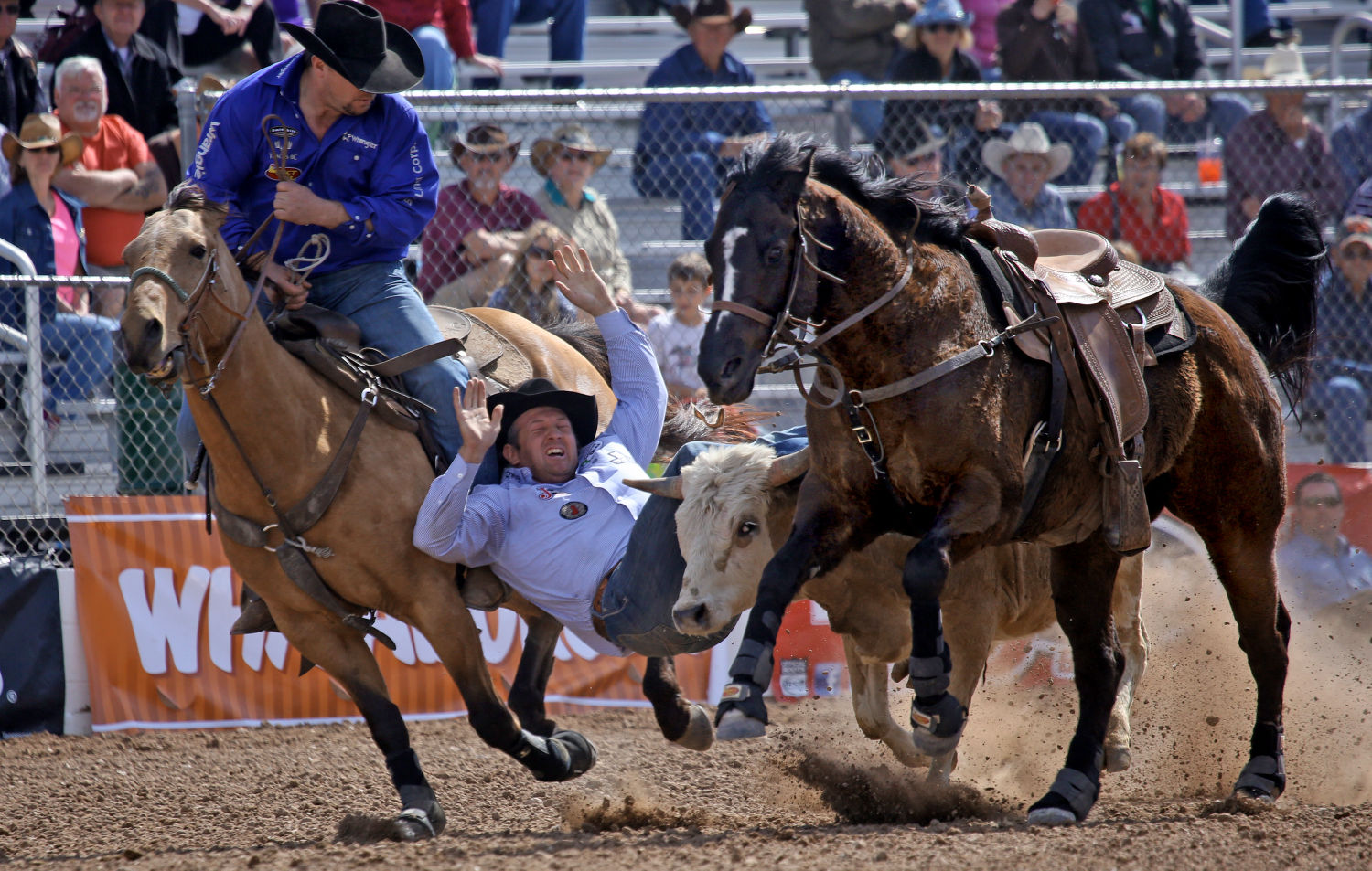 La Fiesta de los Vaqueros